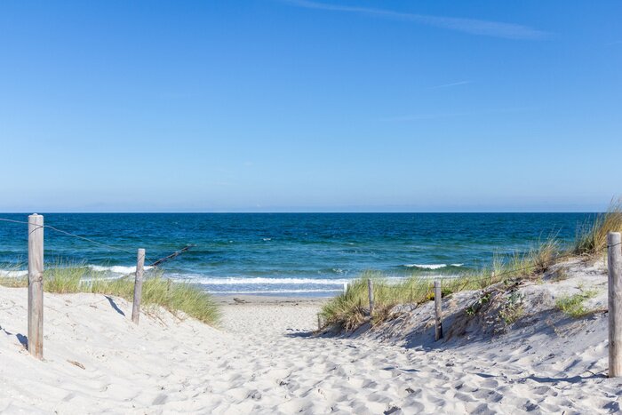 Fotobehang Strandtoegang door de duinen
