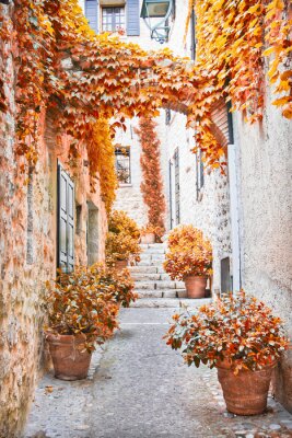 Fotobehang Street in Provence during the fall