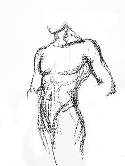 Fotobehang Studie van de schets van het mannelijk lichaam