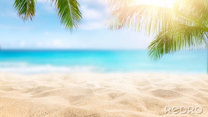 Fotobehang  Sunny tropical Caribbean beach with palm trees and turquoise water