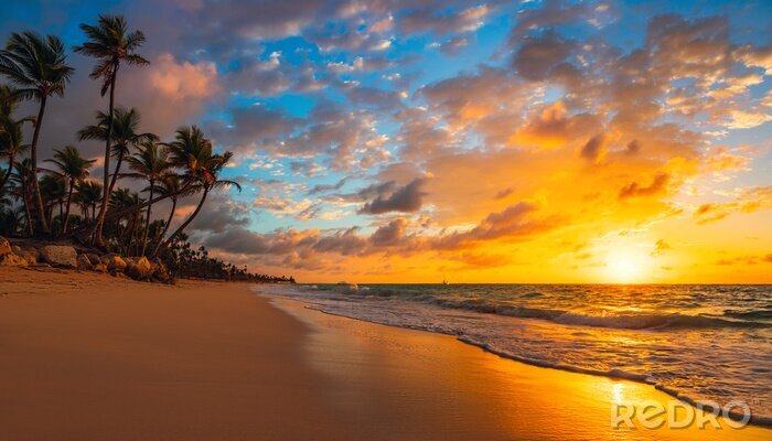 Fotobehang Sunrise tropical beach on Punta Cana, Dominican Republic island