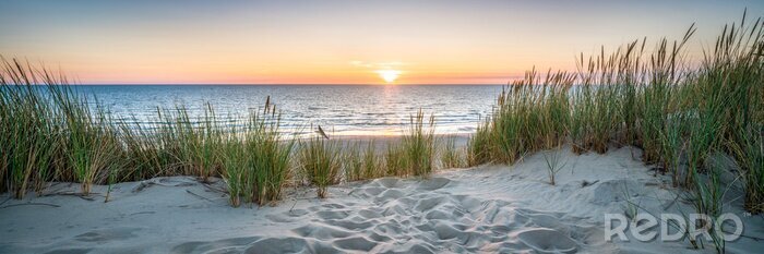 Fotobehang Sunset at the dune beach