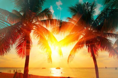Sunset beach with tropical palm tree over beautiful sky. Palms and beautiful sky background. Tourism, vacation concept backdrop. Palms silhouettes over orange sun