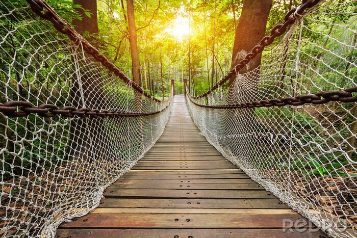 Fotobehang Suspension bridge in the forest