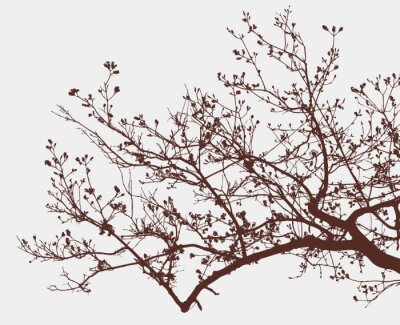 Fotobehang Takken van een bloeiende boom