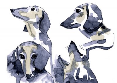 Fotobehang Teckels geschilderd in aquarel op witte achtergrond