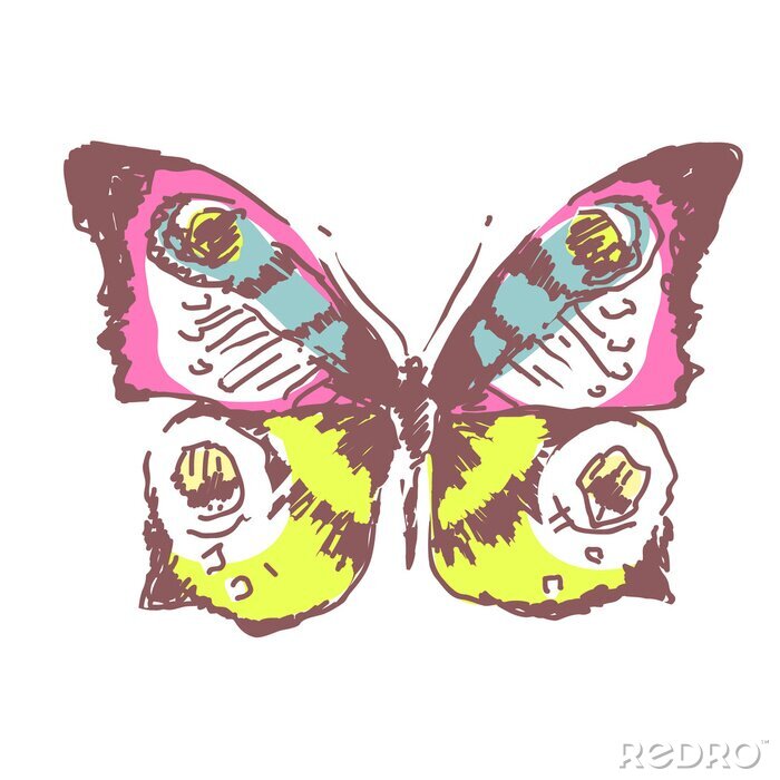 Fotobehang Tekening van een gekleurde vlinder