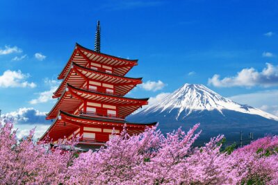 Fotobehang Tempel en bloeiende kersenbomen in Tokio