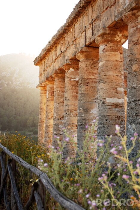 Fotobehang Tempio di Segesta # 2