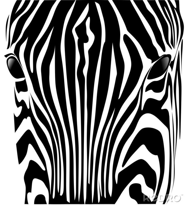 Fotobehang testen zebra