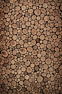 Fotobehang Textuur met houten boomstammen