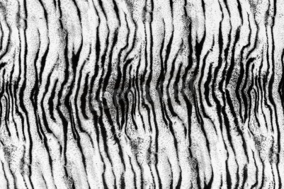 Fotobehang Textuur van tijgerpels