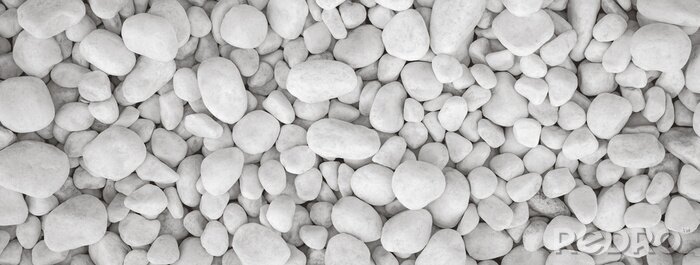 Fotobehang Textuur van witte stenen