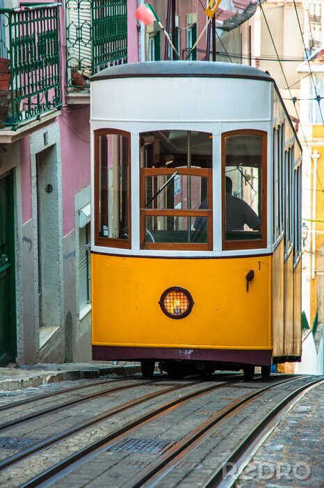 Fotobehang Til het kussen, Lissabon, Portugal