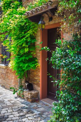 Toegang tot het oude Italiaanse huis en de kat