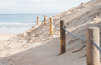 Fotobehang Toegang tot het strand door de duinen