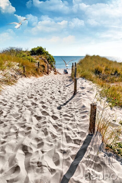 Fotobehang Toegang tot het strand op een zomerse dag