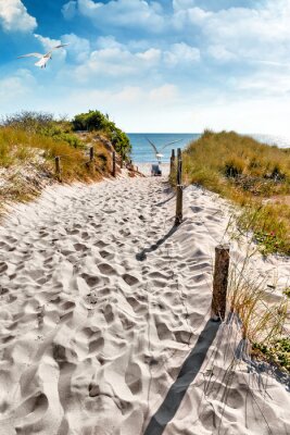 Fotobehang Toegang tot het strand op een zomerse dag