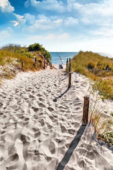 Fotobehang Toegang tot het strand op een zomerse dag