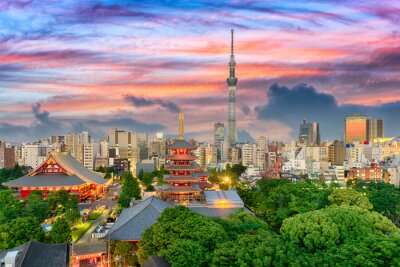 Fotobehang Tokio aan de skyline