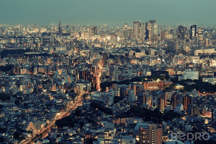 Fotobehang Tokio avond