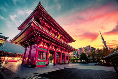 Fotobehang Tokio en een tempel