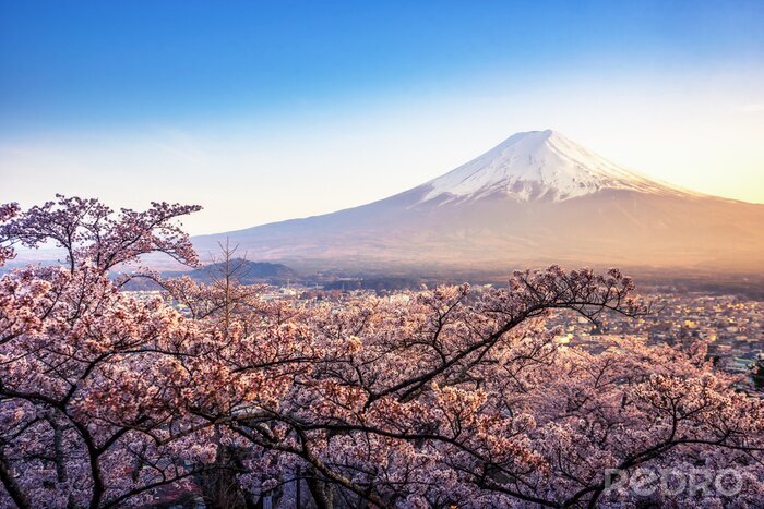 Fotobehang Tokio en Mount Fuji in de ochtend