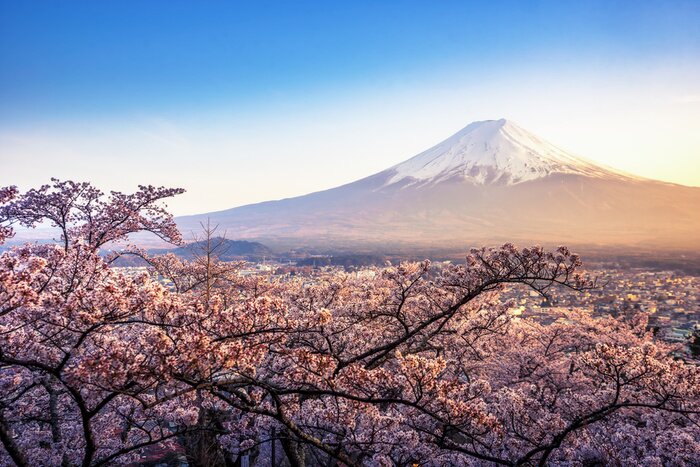 Fotobehang Tokio en Mount Fuji in de ochtend