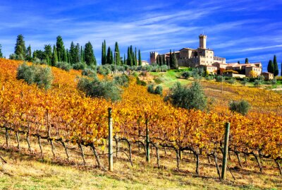 Fotobehang Toscaans herfstveld met druiven