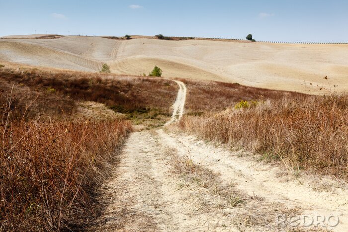 Fotobehang Toscaanse beige velden