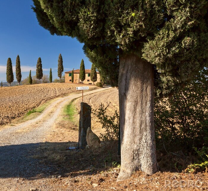 Fotobehang Toscaanse platteland in de buurt van Pienza, Toscane, Italië