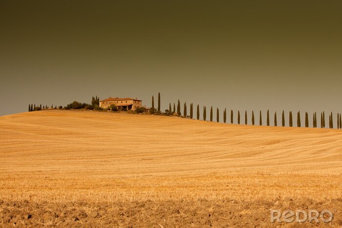 Fotobehang Toscana # 6