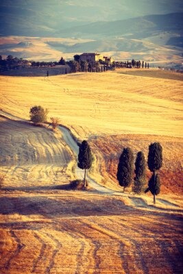 Toscane bij zonsondergang