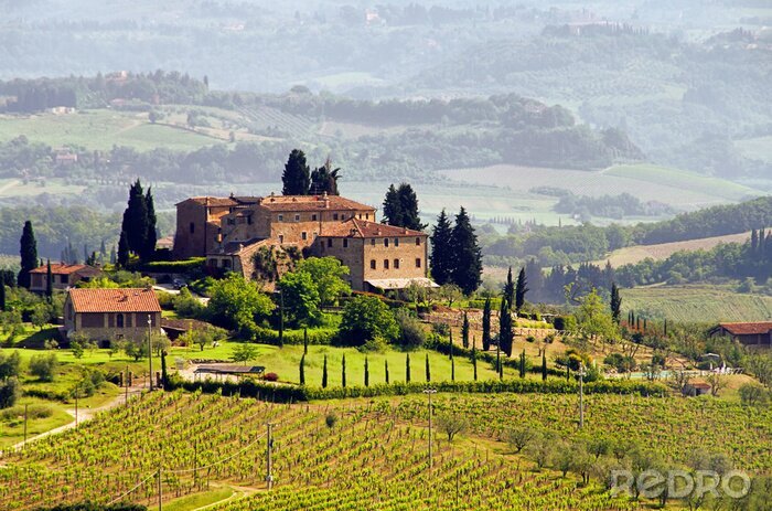 Fotobehang Toscane en huizen bij de wijngaarden