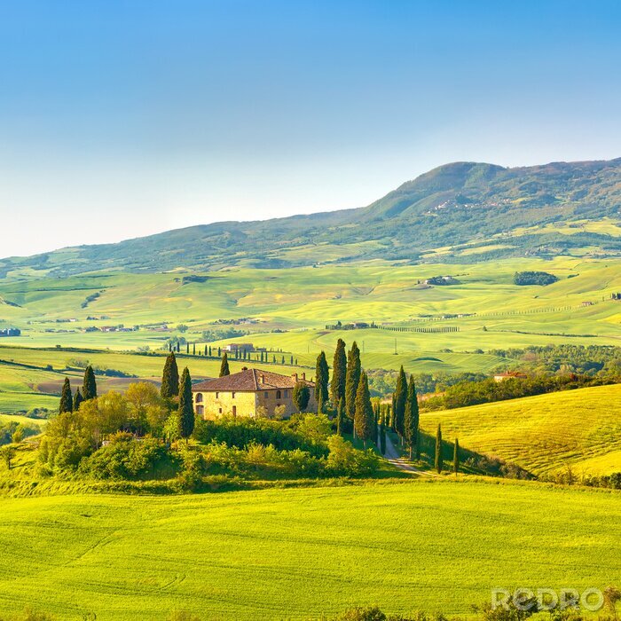Fotobehang Toscane in het voorjaar