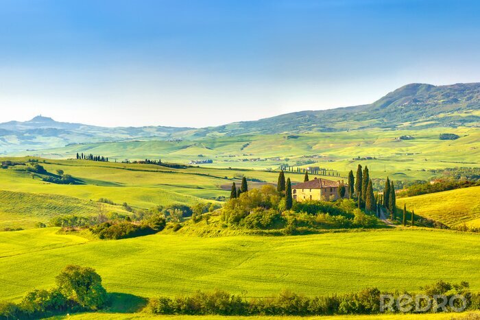 Fotobehang Toscane in het voorjaar