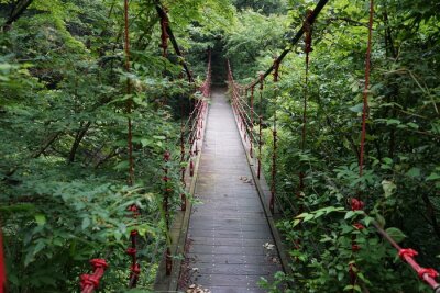 Fotobehang Touwbrug in de jungle