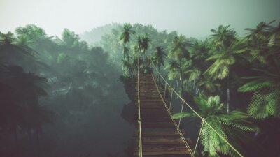 Fotobehang Touwbrug in een mistige palmjungle