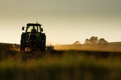 Fotobehang Tractor in zonsondergang die het gebied ploegt