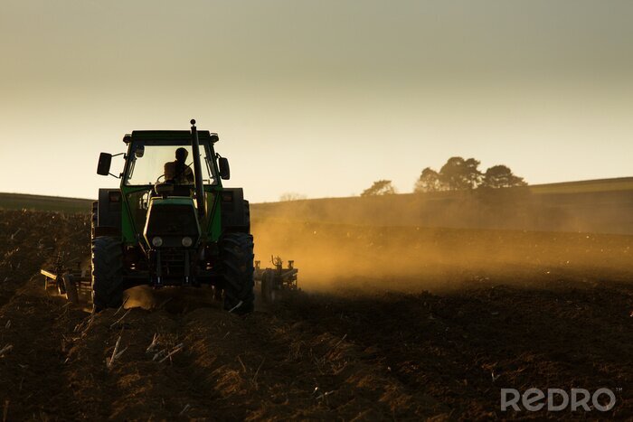 Fotobehang Tractor in zonsondergang die het gebied ploegt
