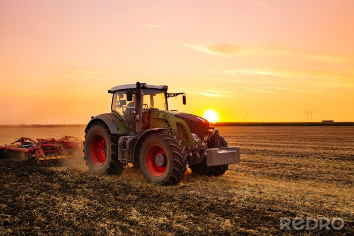 Fotobehang Tractor op het veld gerst bij zonsondergang.