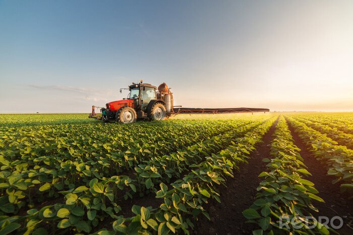 Fotobehang Tractor spuiten sojaboon veld in de lente