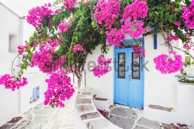 Fotobehang Traditioneel Grieks huis met bloemen op het eiland Paros, Griekenland
