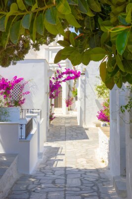 Fotobehang traditionele straat in Tinos eiland, Griekenland