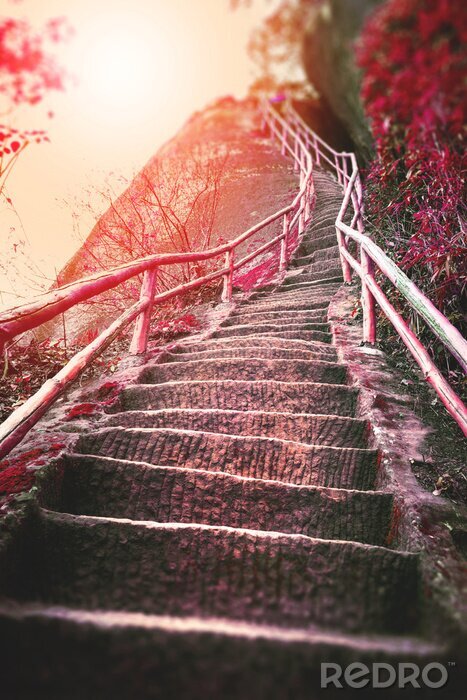 Fotobehang Trap omhoog