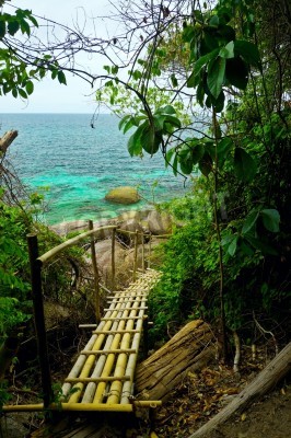 Fotobehang Tropen, bamboe en oceaan