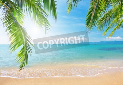 Fotobehang Tropen, palmboom en oceaan