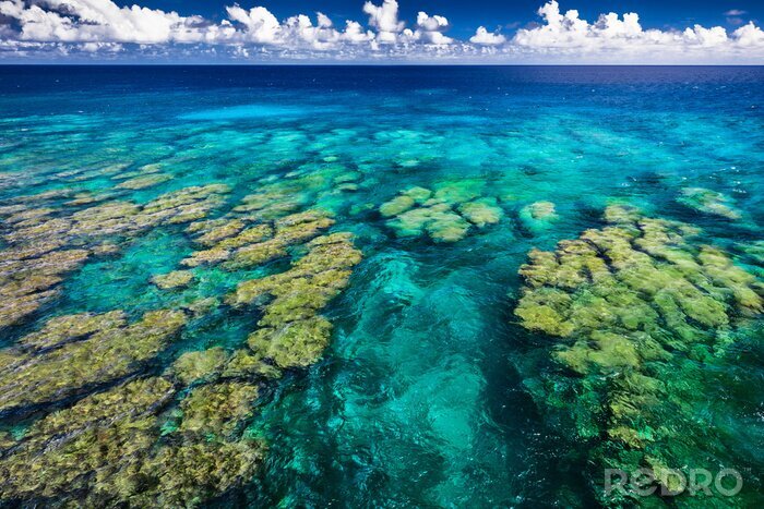Fotobehang Tropisch koraalrif