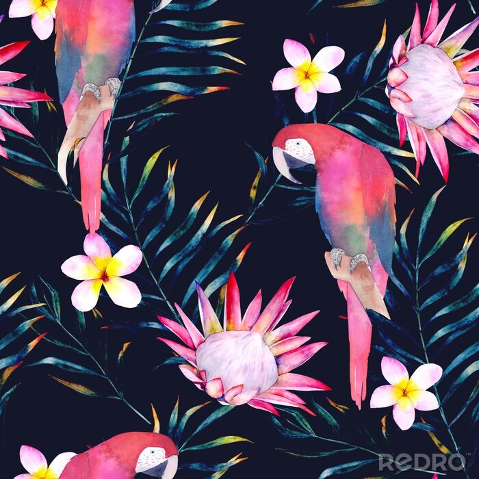 Fotobehang Tropisch naadloos patroon met papegaaien, protea, plumeria en bladeren. Waterverf zomer print. Exotische hand getekende illustratie