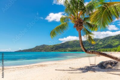 Fotobehang Tropisch palmbomenlandschap op een strand op de Seychellen